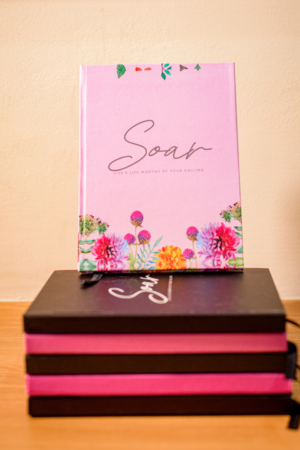 Soar Plain Journal